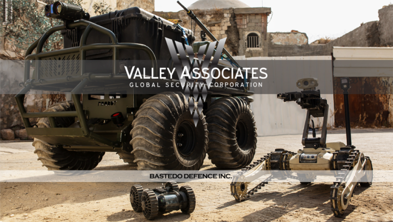 Valley Associates – Global Security Corp.